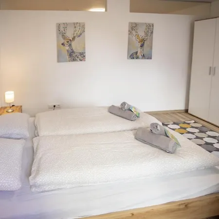 Modern Old Town Appartement Hall in Tirol