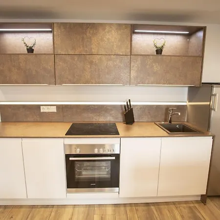 Modern Old Town Appartement Hall in Tirol